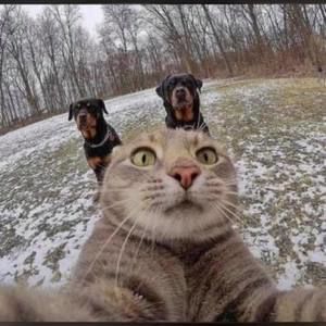 Meet your Posher, Avery